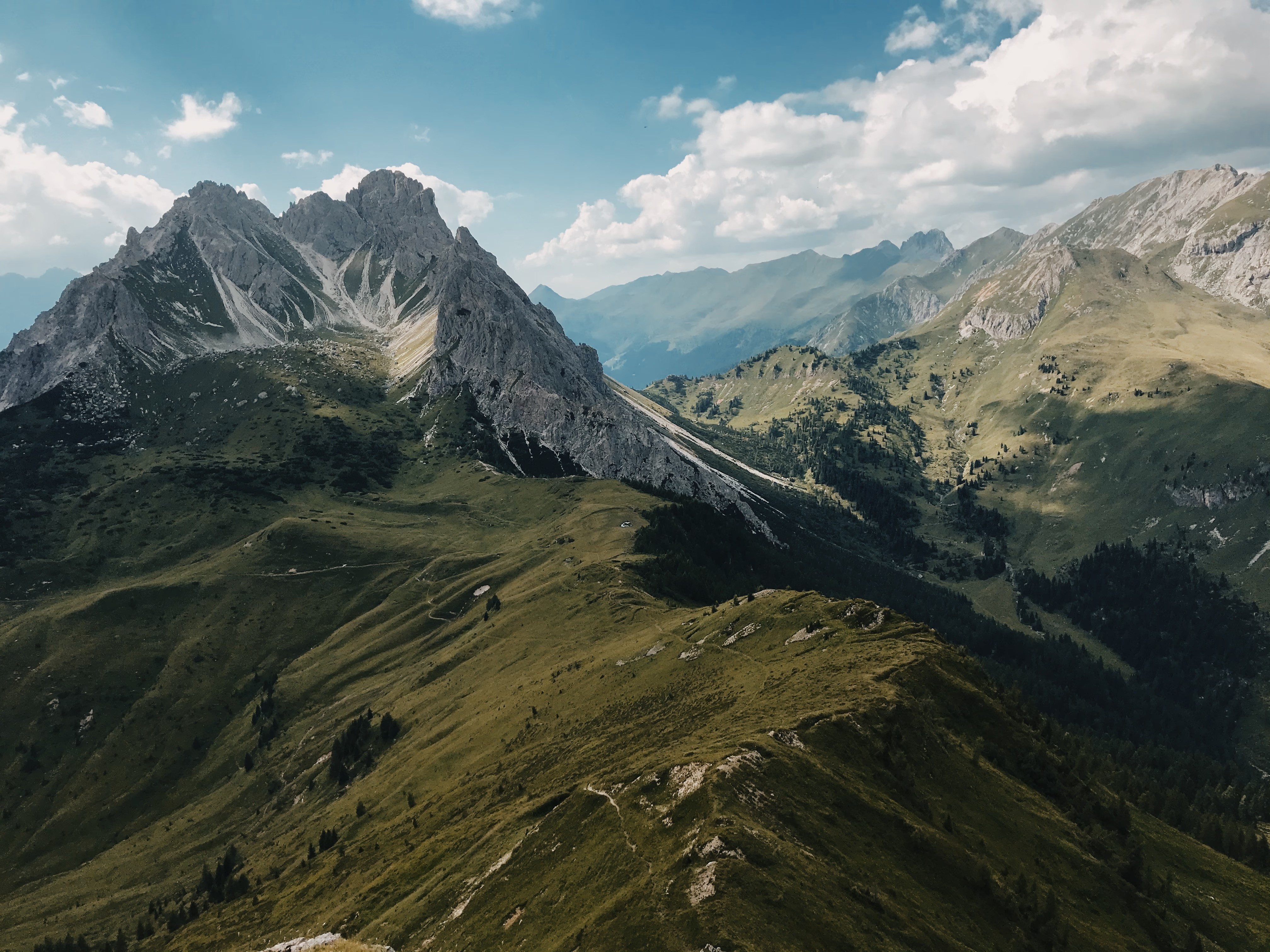 Vintage Car Under Palm Trees