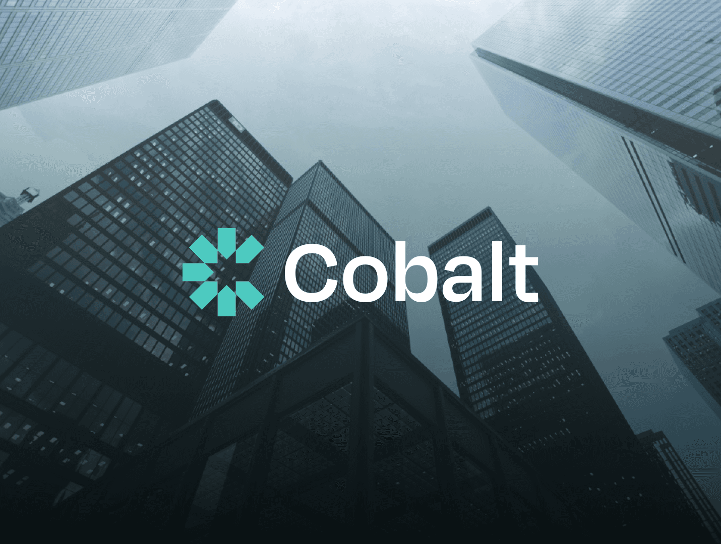 Cobalt Brand Book Header