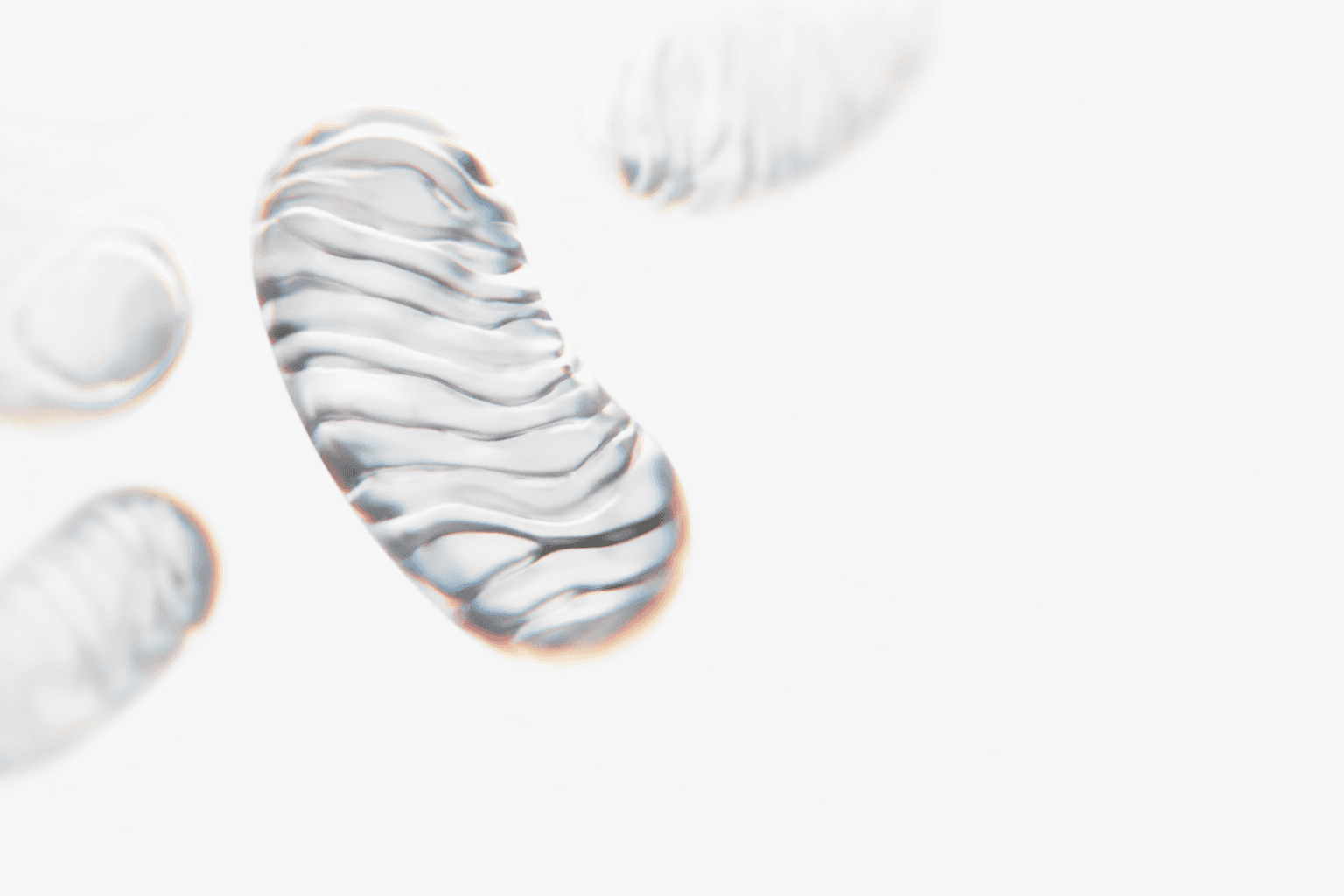 Cellular Mitochondria