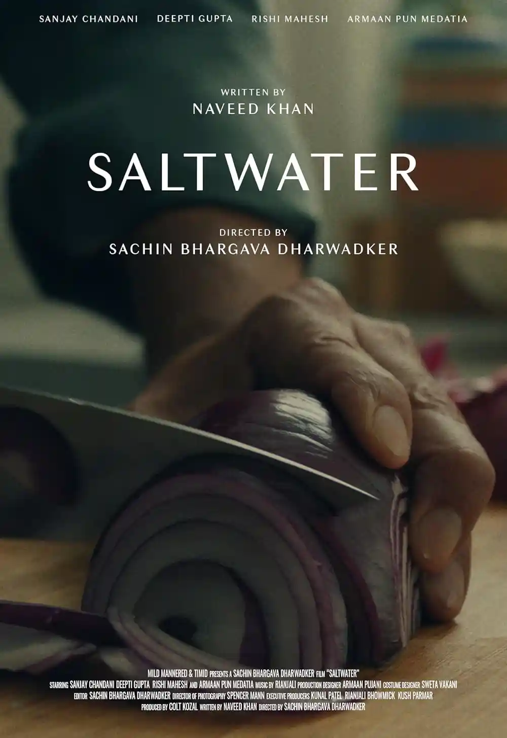Poster of Saltwater movie