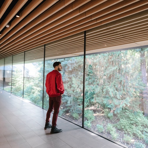 一條漫長的走廊俯瞰著一片森林區域。