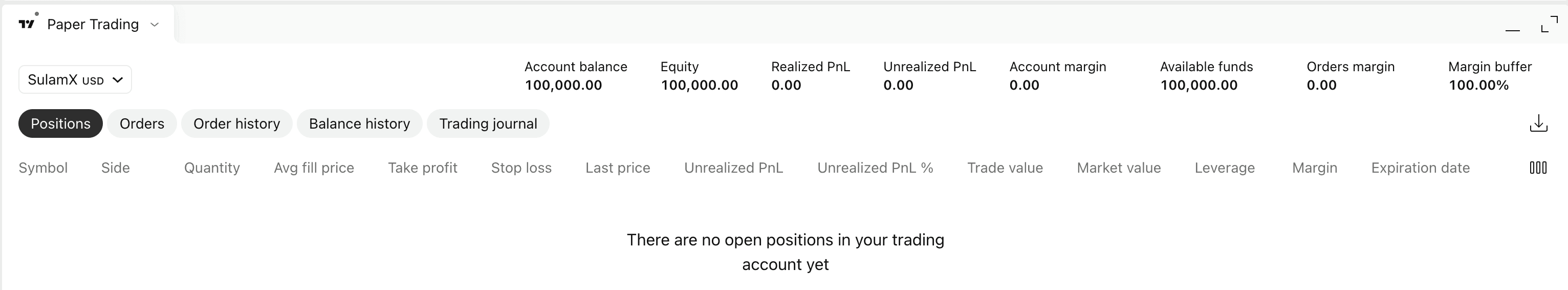 The TradingView trading panel showing a simulated Paper Trading account with no open positions.