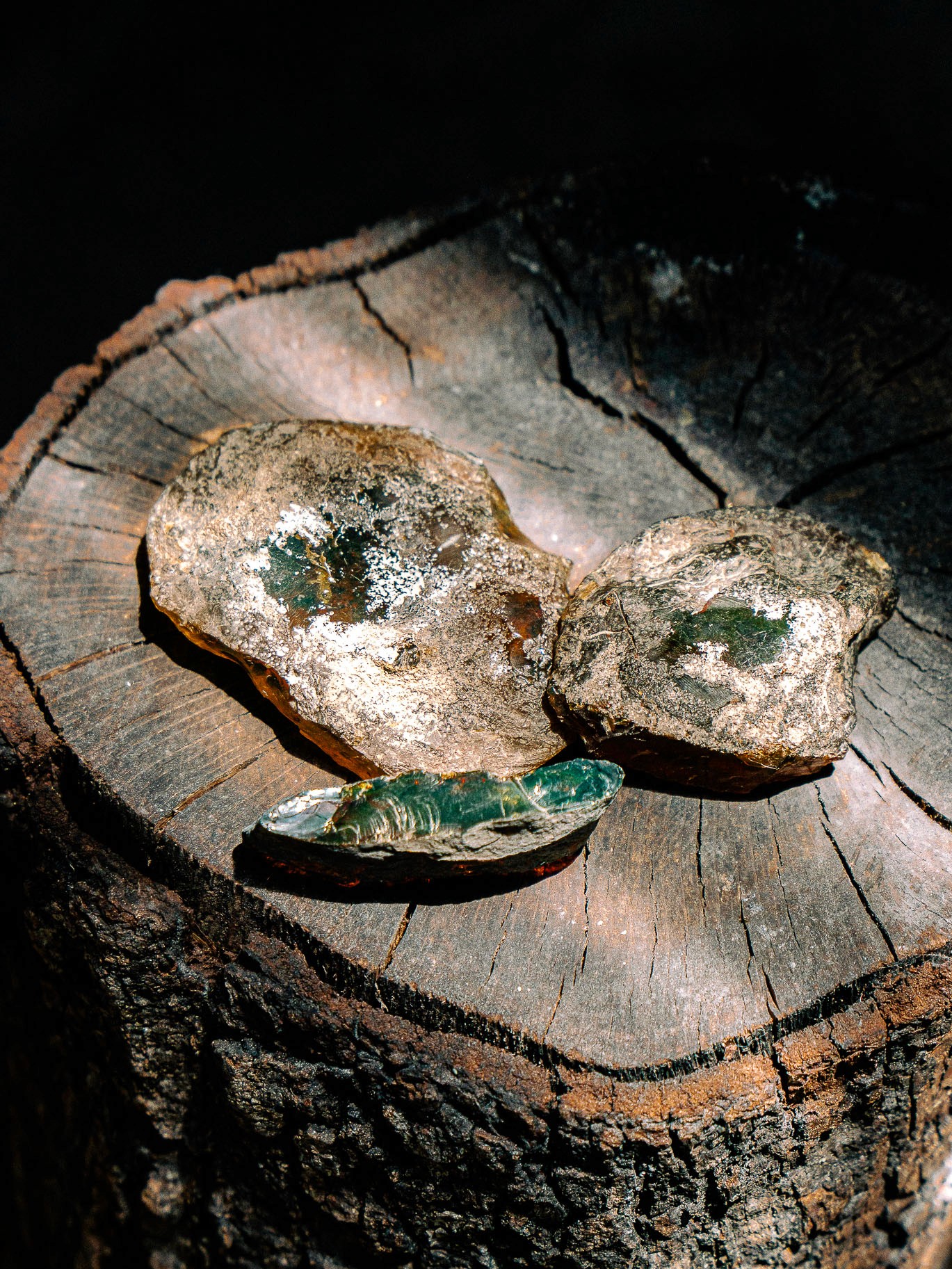 Raw amber gemstones stones lying on a tree stump