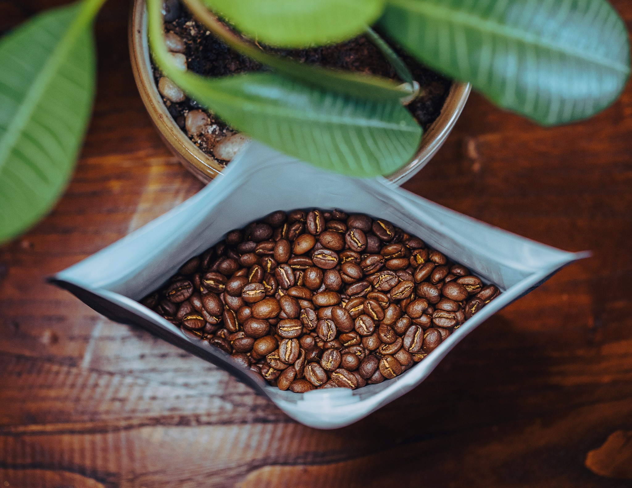 Streetside billboard with flyposters of the Batch.Works brand and illustrations