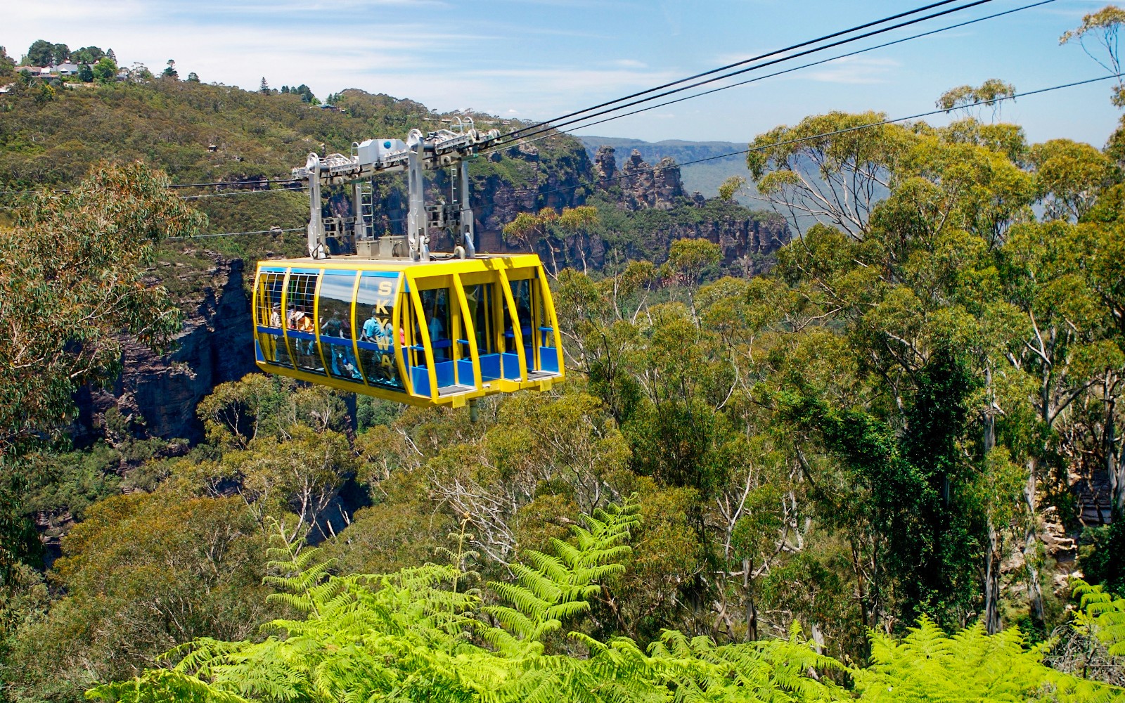 在蓝山快捷游期间，乘坐缆车俯瞰蓝山森林的美景。