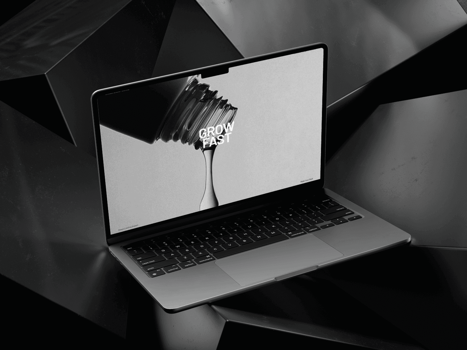 Laptop mockup showing the Antidote homepage with the bold phrase “GROW FAST” against a minimal black-and-white backdrop, representing performance and speed.