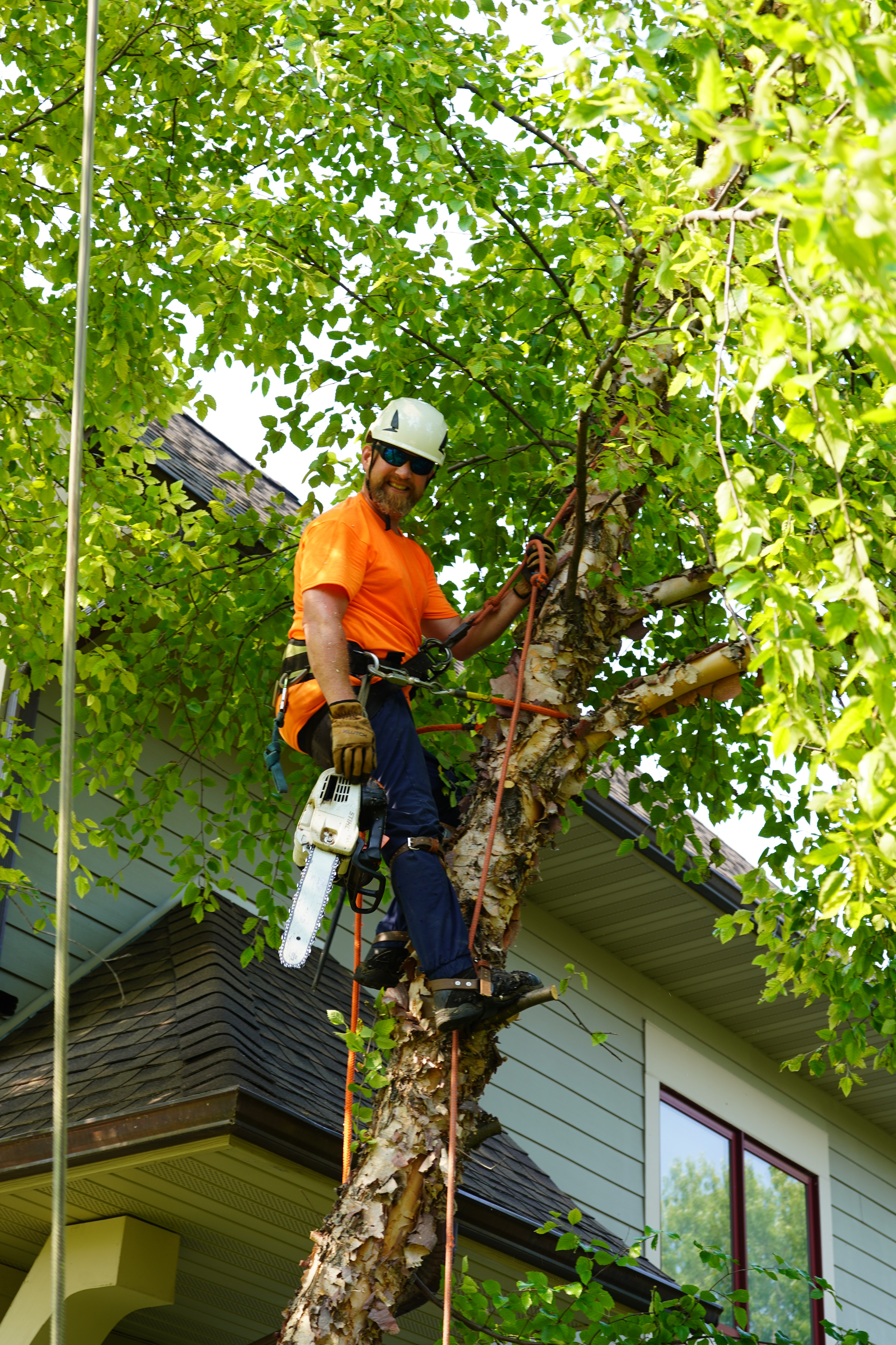 Gardener team at work