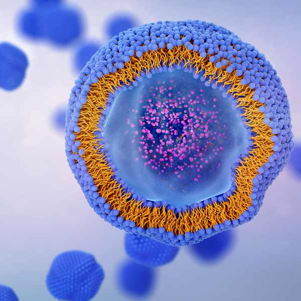 A virtual image of a cell.