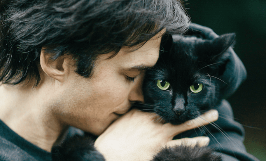 A boy holds a black cat with green eyes.