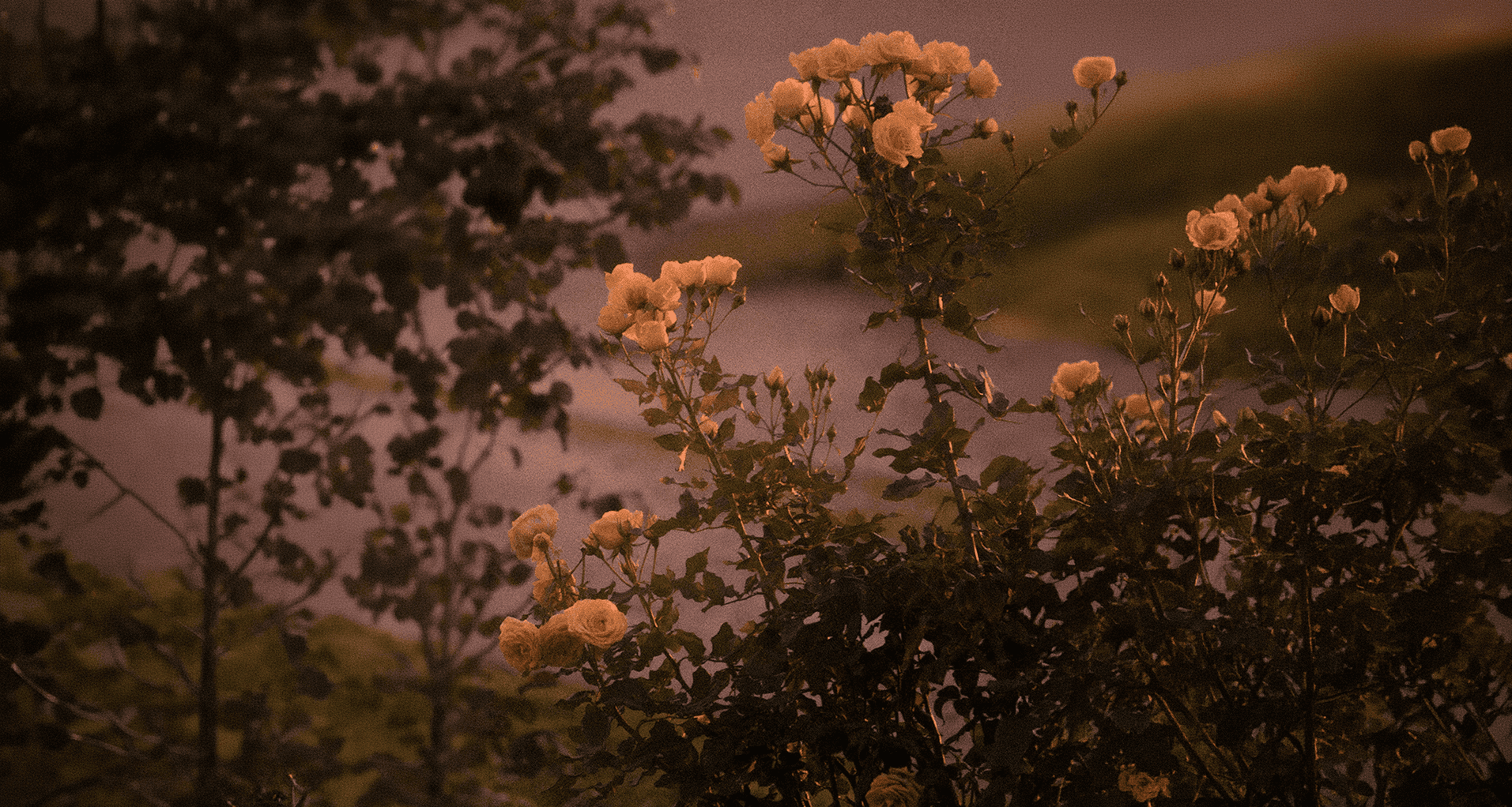 square brown wooden table