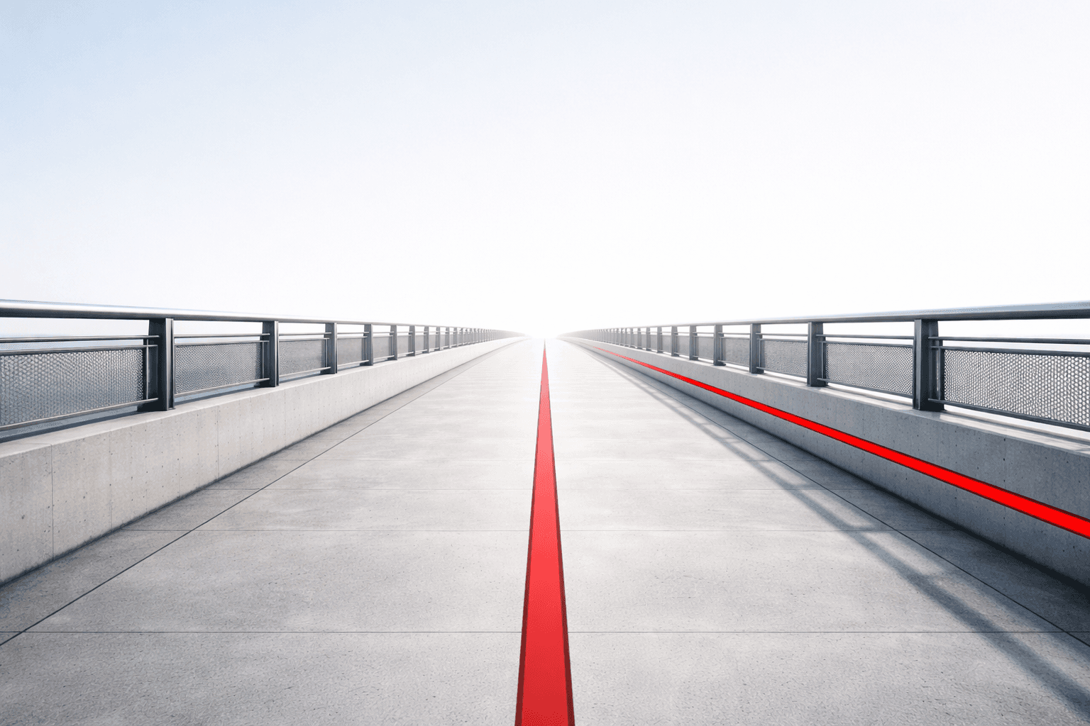 Drone perspective of vineyard rows.