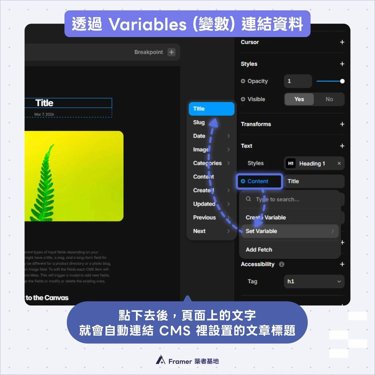 Framer Detail Page 右側屬性面板使用 Set Variable 串接 CMS 欄位截圖
