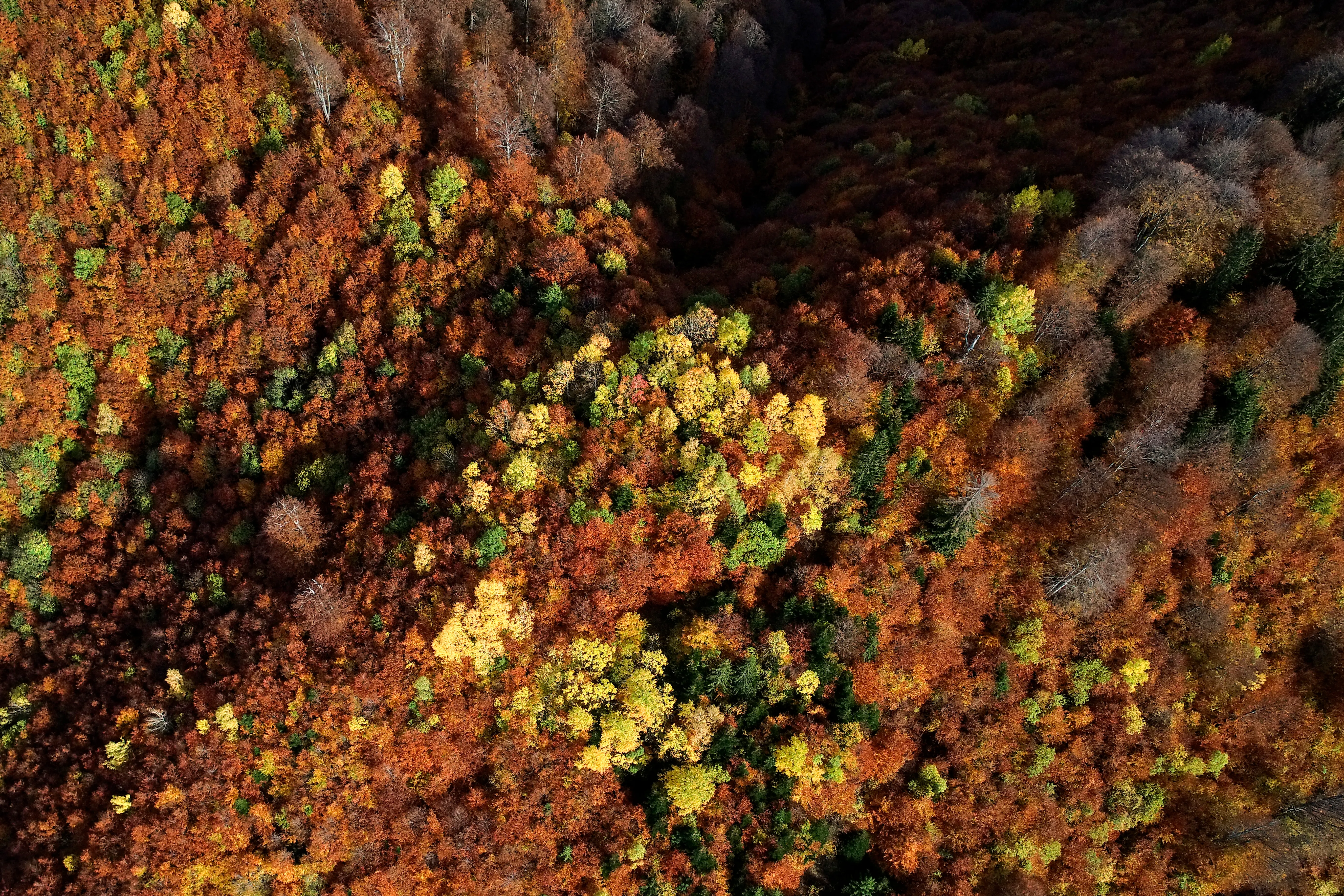 Mountain Top view Image