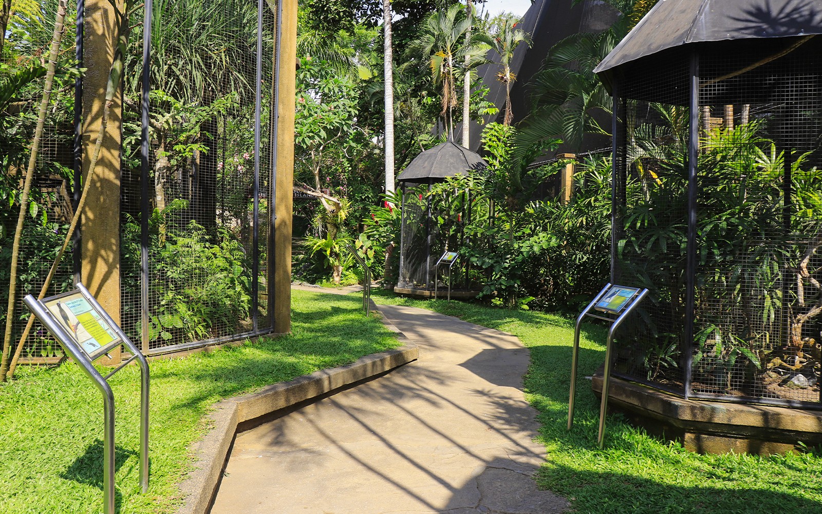 Pathway through lush greenery and aviaries at Bali Bird Park.