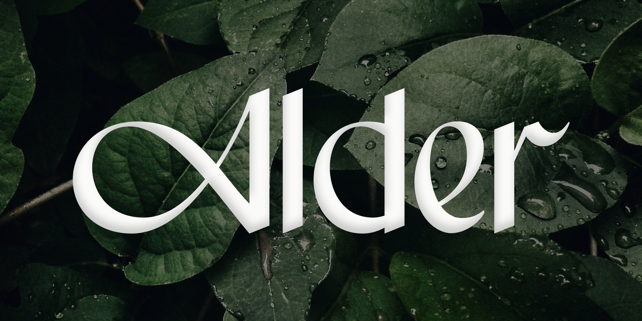 Alder logotype in color