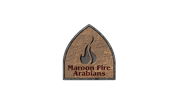 Maroon Fire Arabians Logo