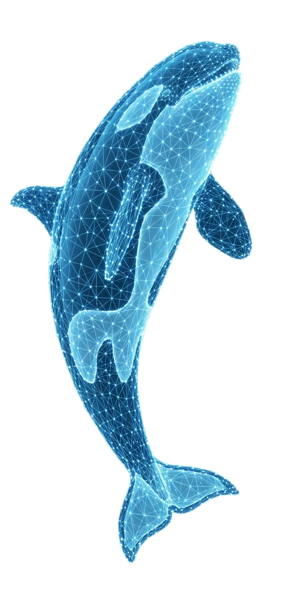 Une orque majestueuse, représentée par un maillage lumineux de points et de lignes bleues, évoque l'expérience immersive.