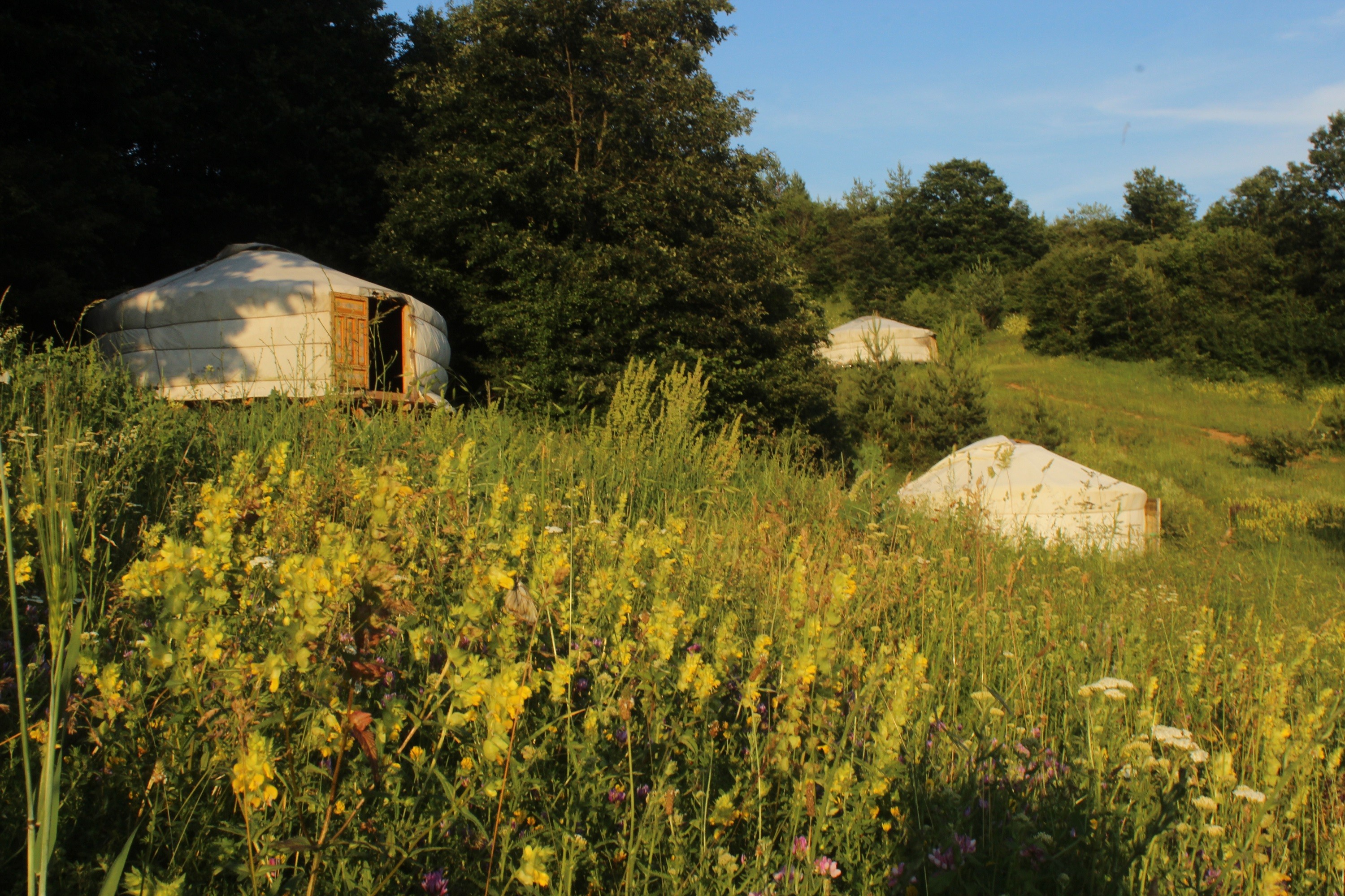 Юрти в Долината, Традиционни Юрти