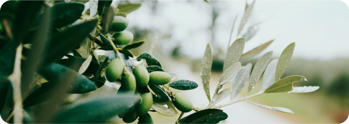 PhotoInspirationProvence