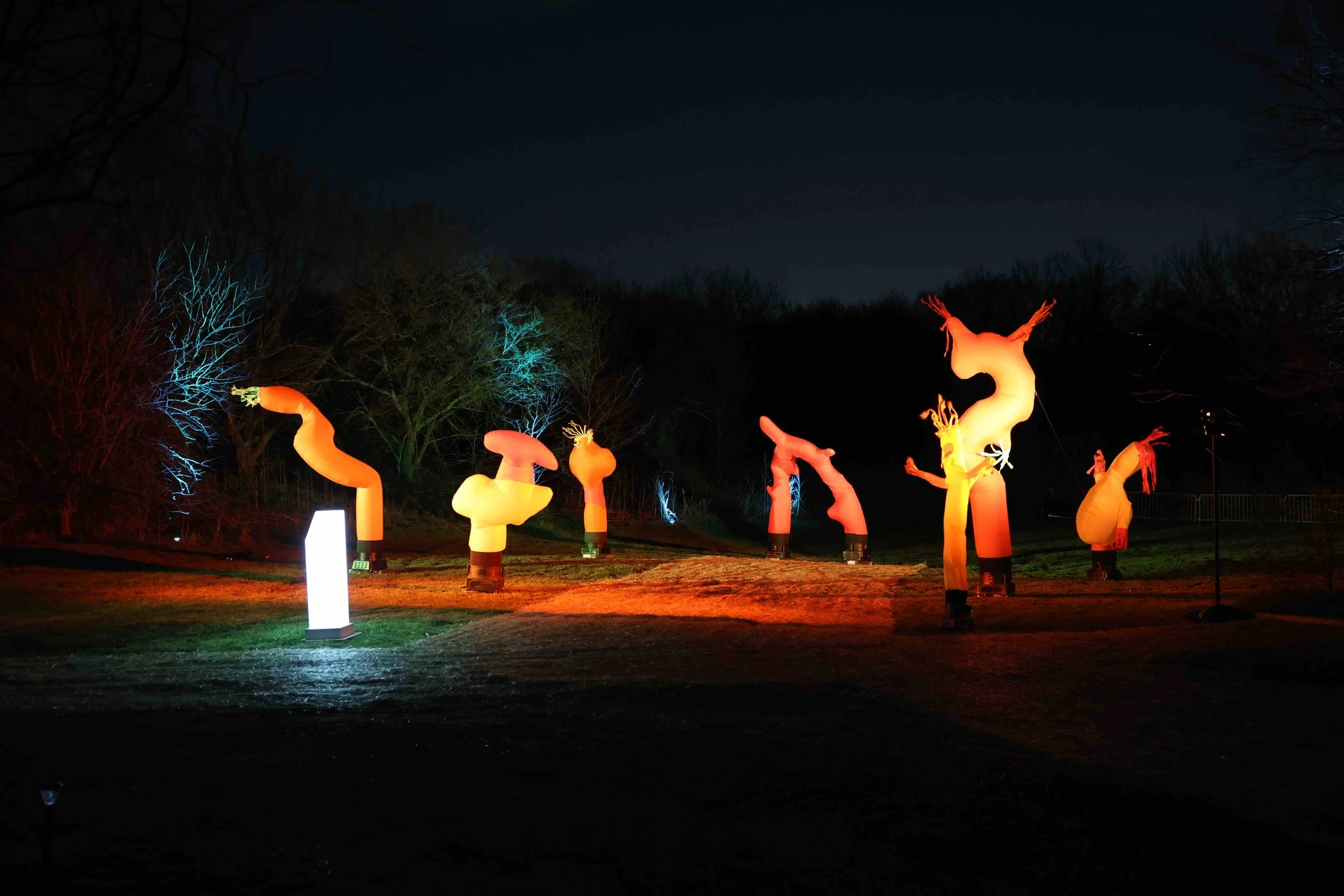 Illuminated sculptures in a dark setting, creating a striking visual display against the night sky.