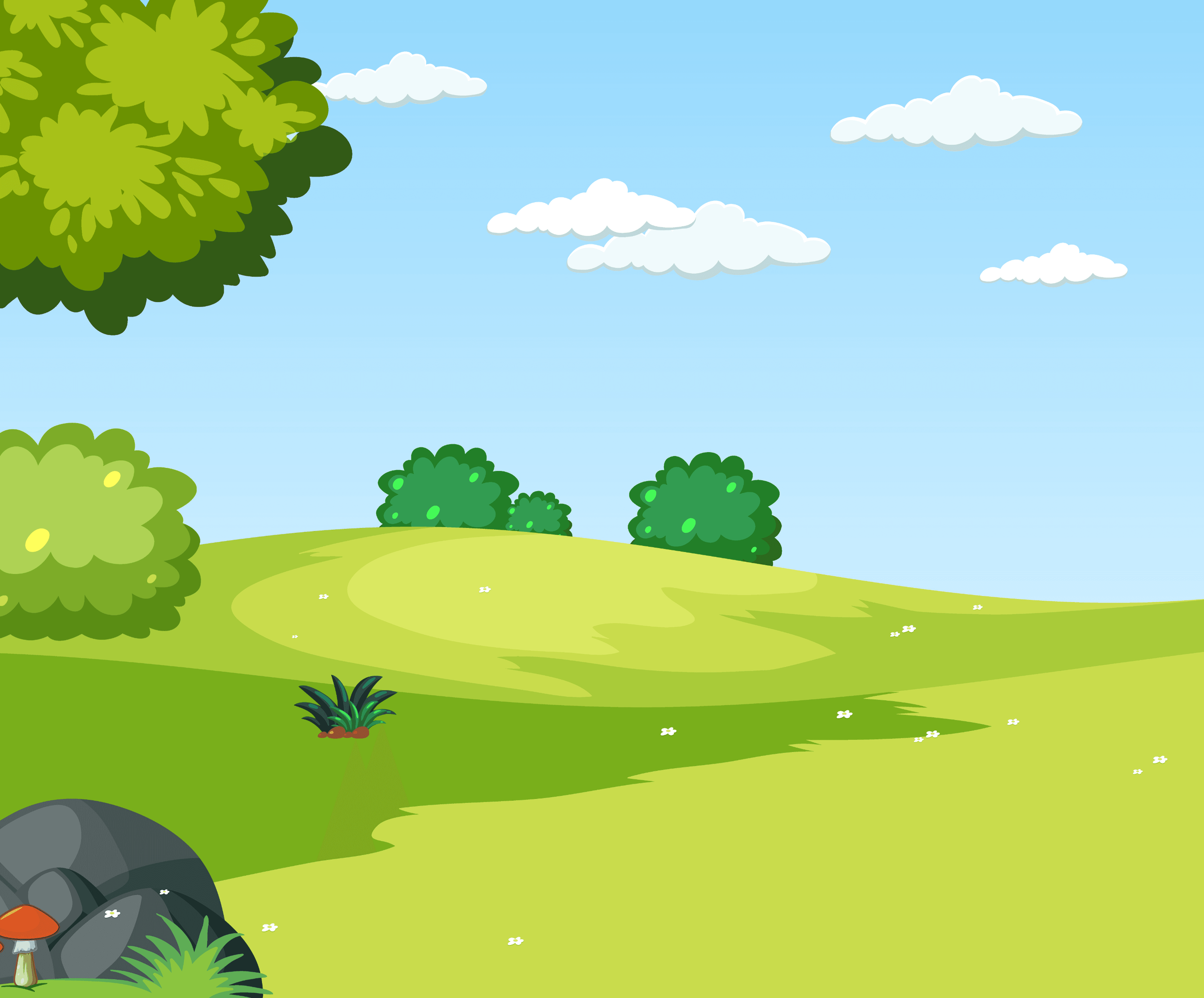 Open Field And Grass