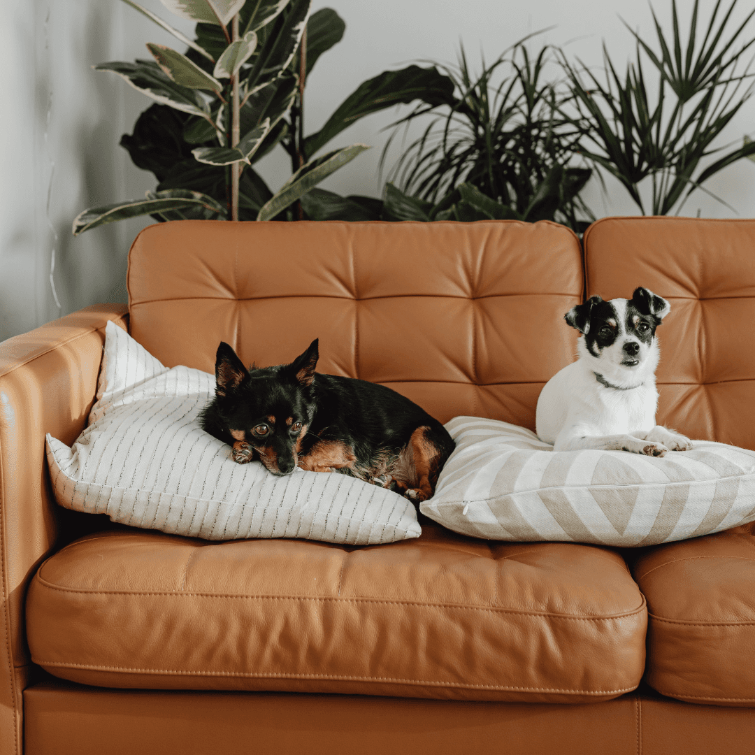 Image of a doormat that reads 'home'