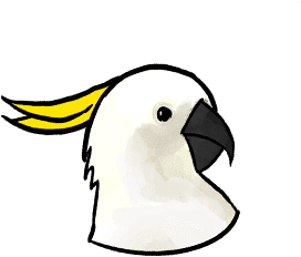 Cockatoo