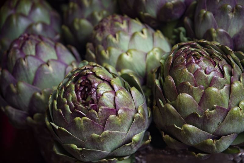 Varietà scura di carciofi