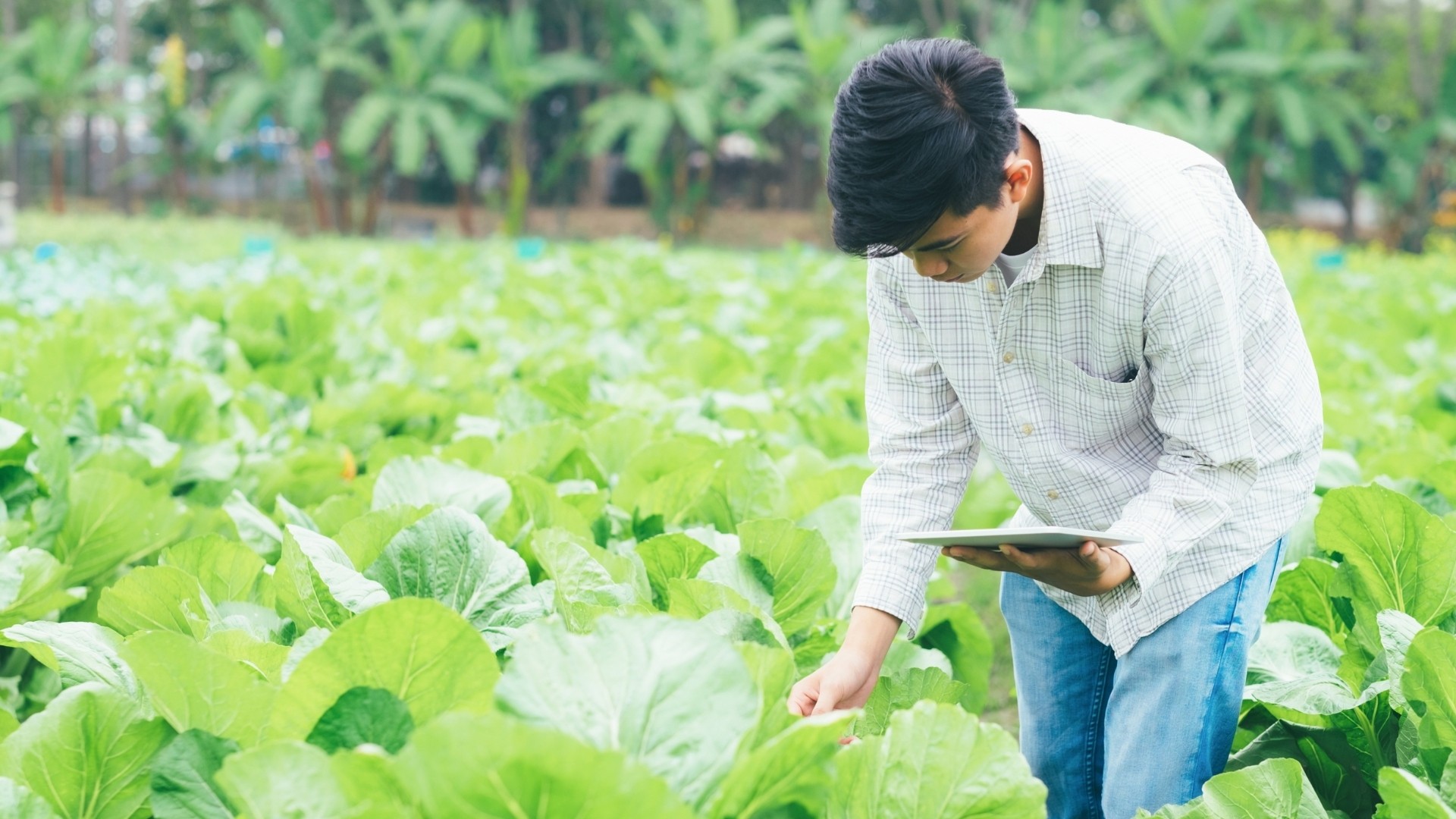 Risk Assessment and Management