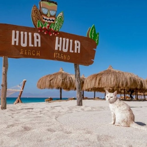 Perjalanan Snorkeling Sehari di Pulau Hula Hula & Makan Tengahari - Hurghada