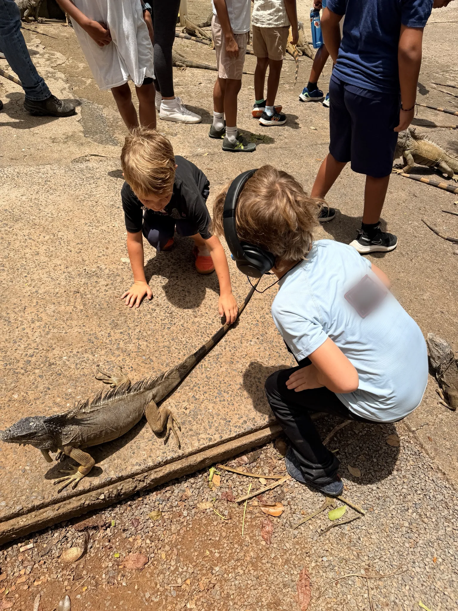 Two boys crouching to look at an iguana at Arch's Iguana and Marine Park on Roatán