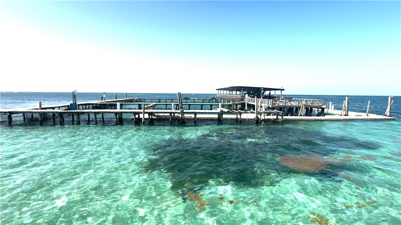 Las aguas turquesas de las playas de Punta Cana son únicas