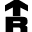 Rugiet website icon