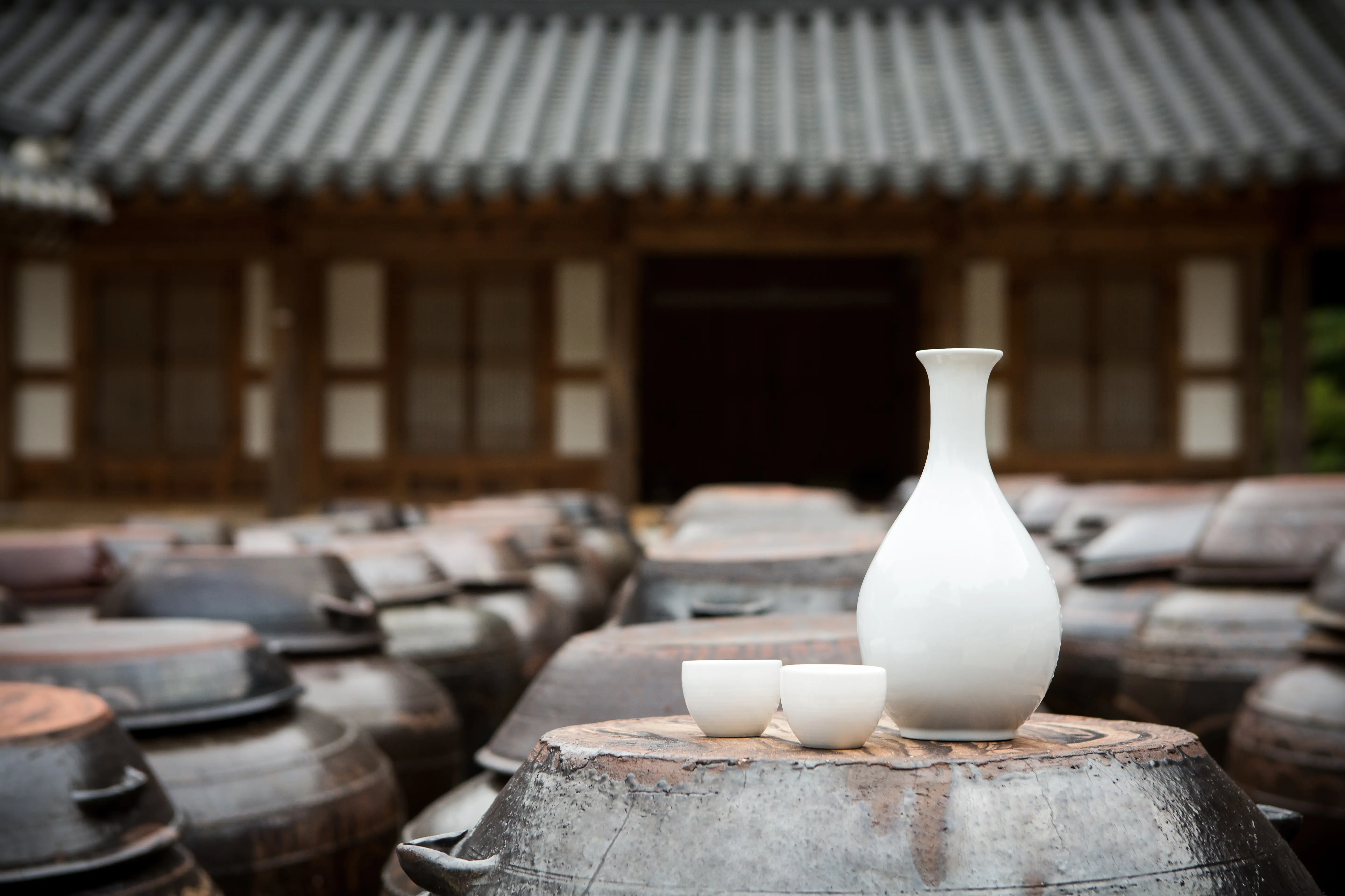 Onggi pots in a green garden after rain
