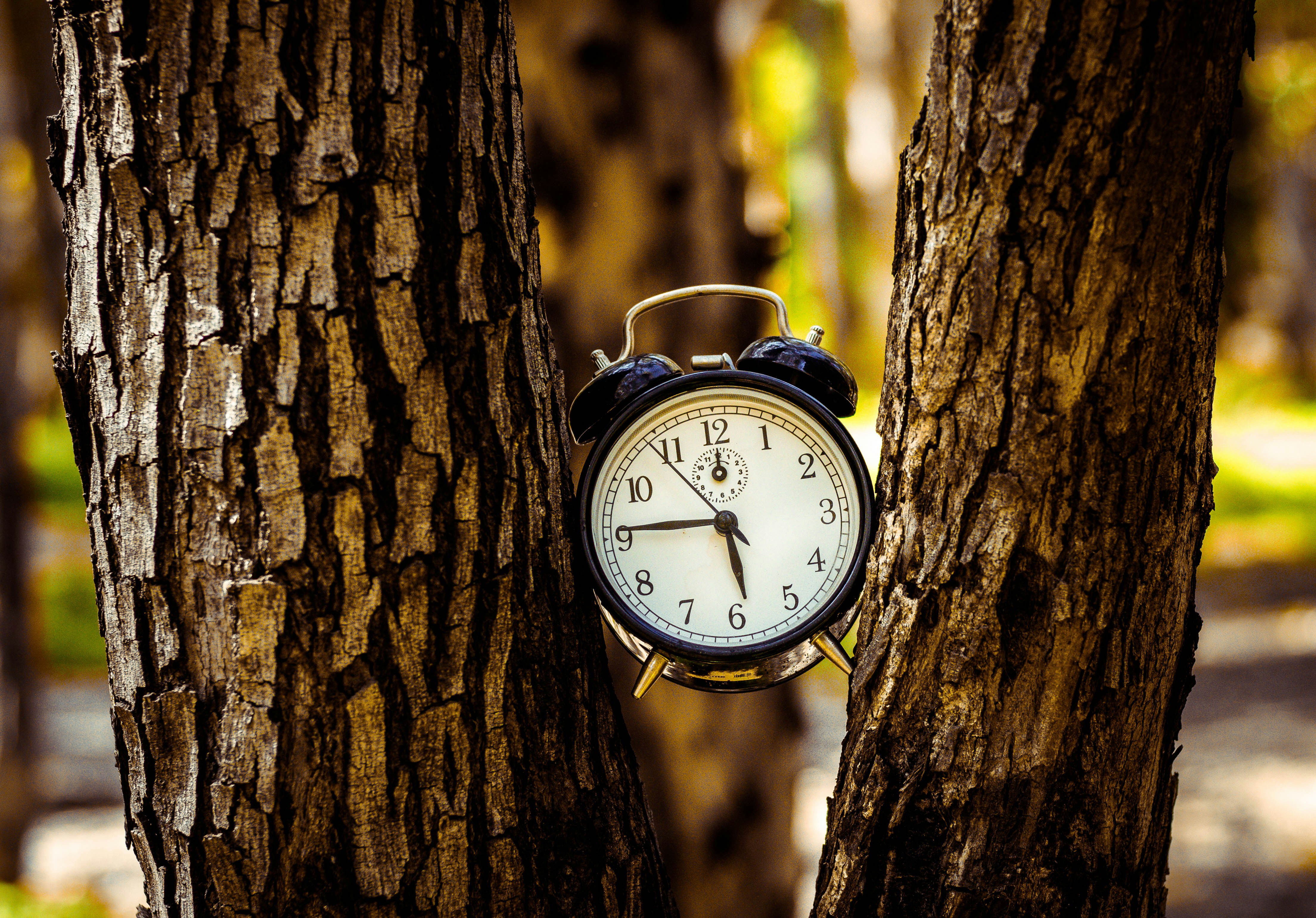 clock in between wood - How Long Does It Take For Skincare To Work