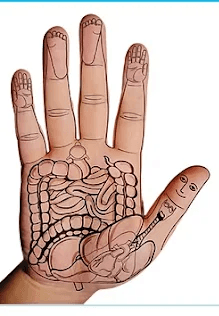 A circle of people sitting cross-legged, meditating with hands in a prayer position. Soft, warm lighting.