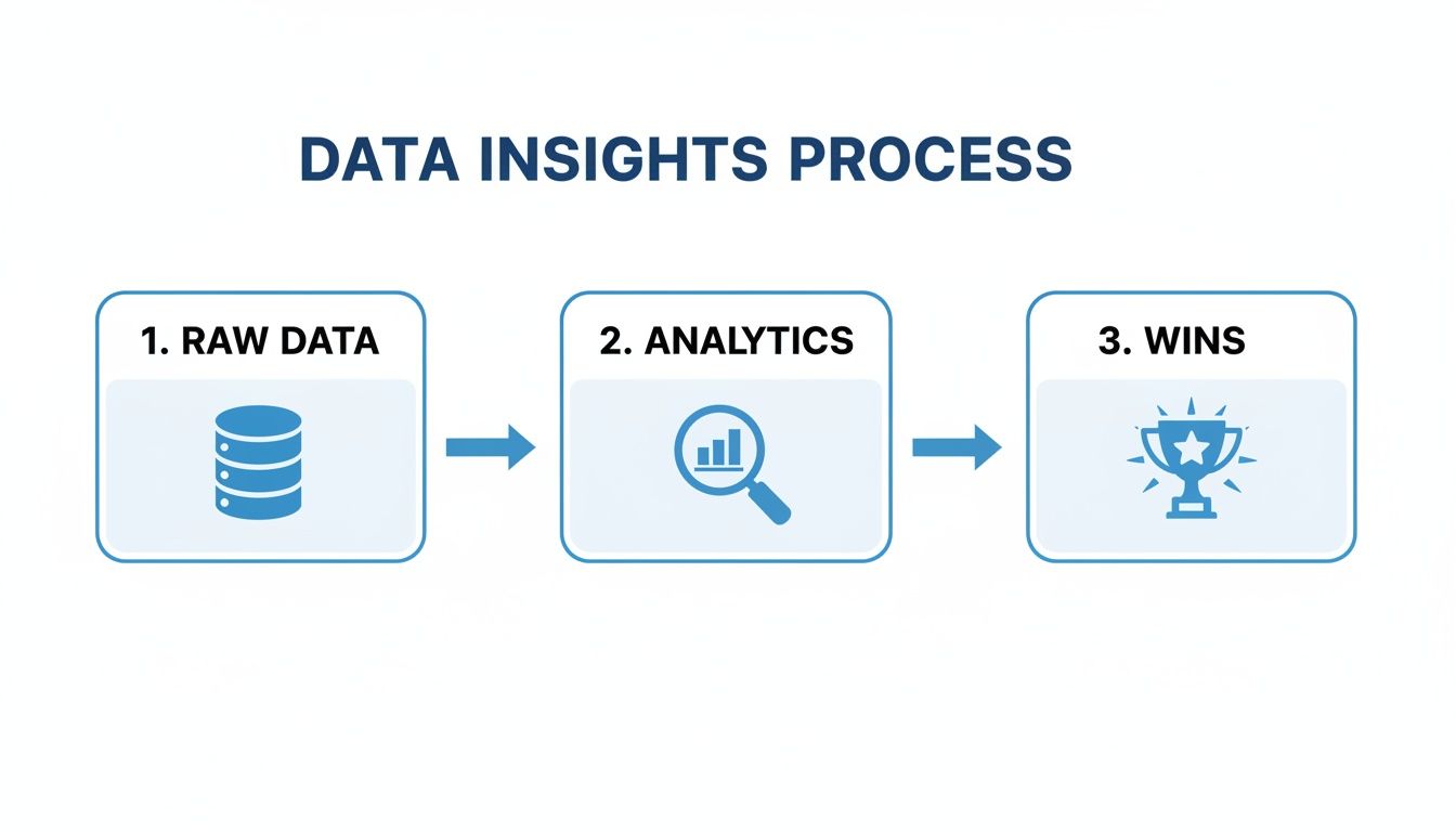 Diagram illustrating the data insights process: raw data leads to analytics, which results in wins.
