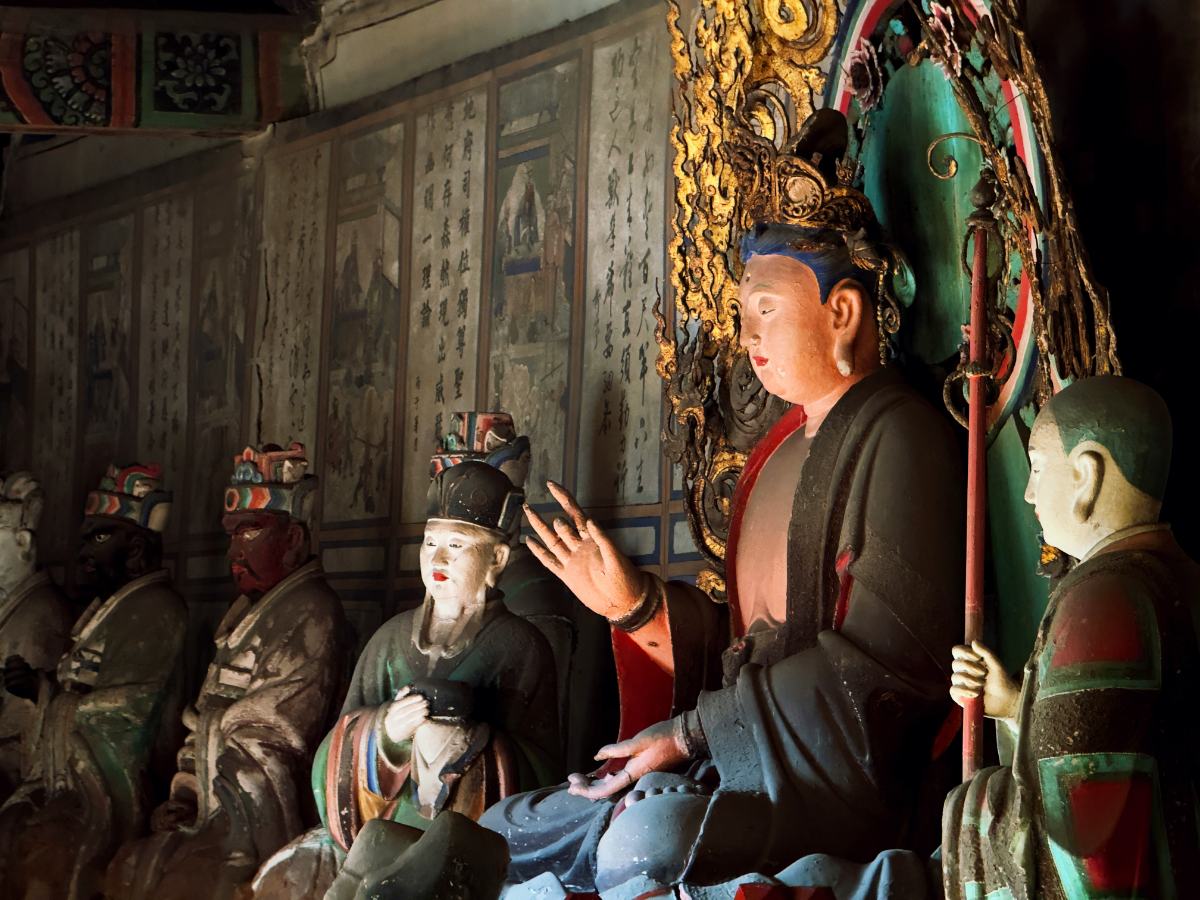 A lion walks through dry grass at sunset.