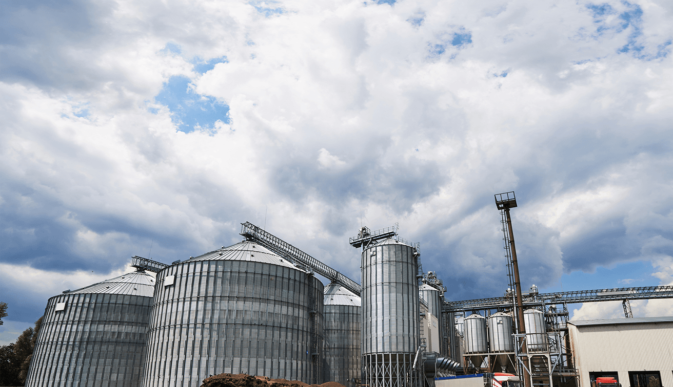 Exterior view of agricultural silos in daylight used for grain storage