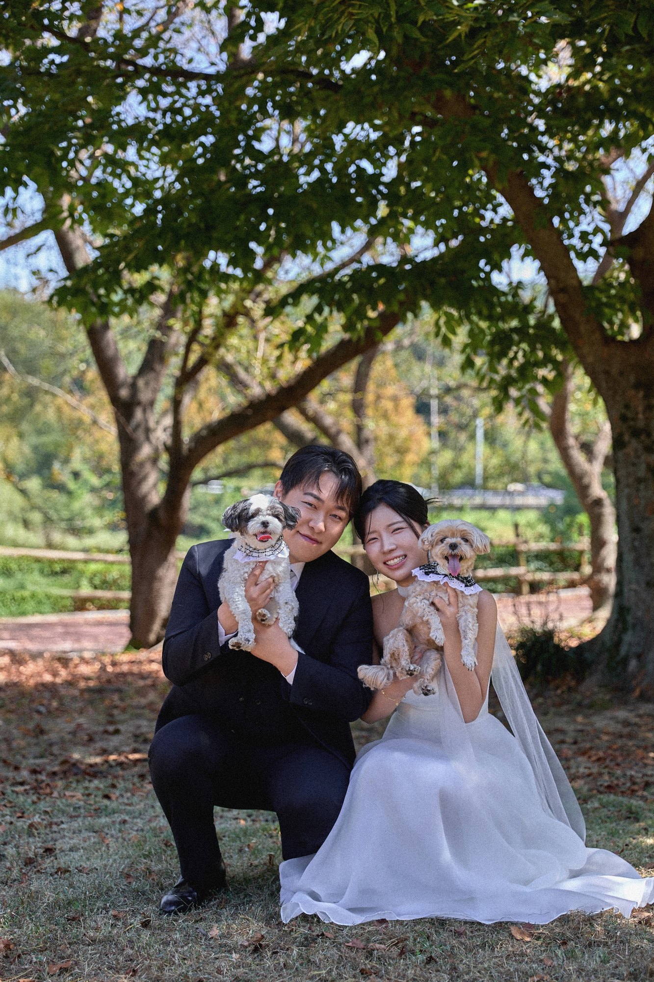 광주리마인드웨딩 촬영 후기 | 하기스스냅이 담아낸 강아지 2마리와 결혼 1주년 야외웨딩스냅