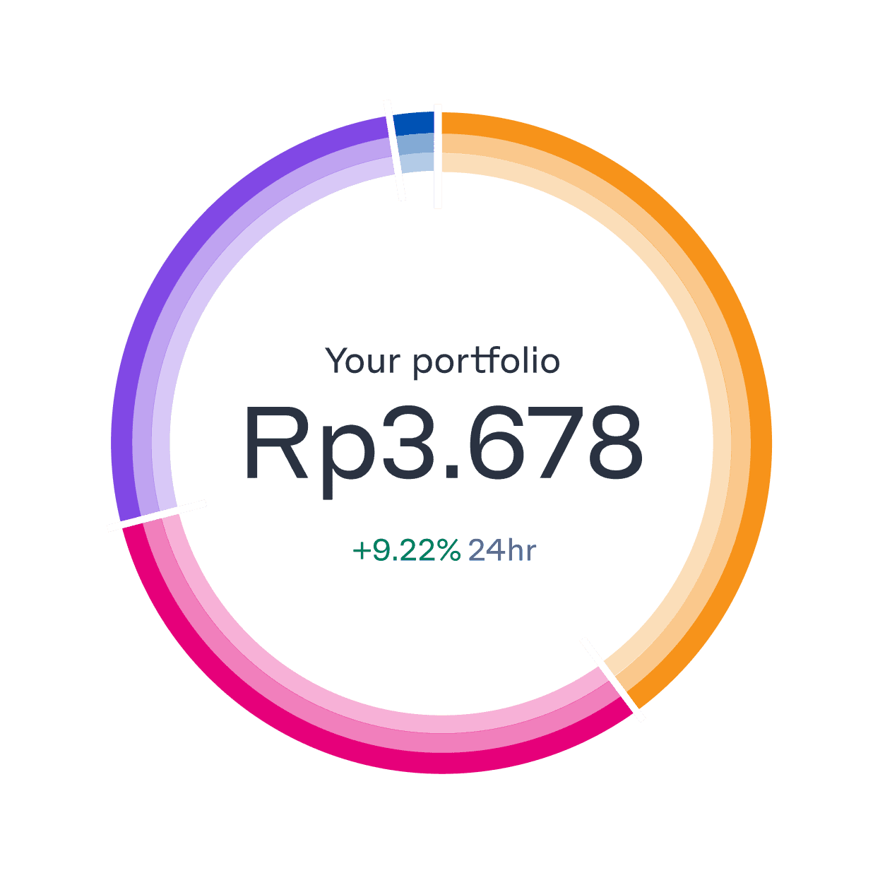portfolio-ring-breakdown