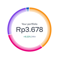 portfolio-ring-breakdown