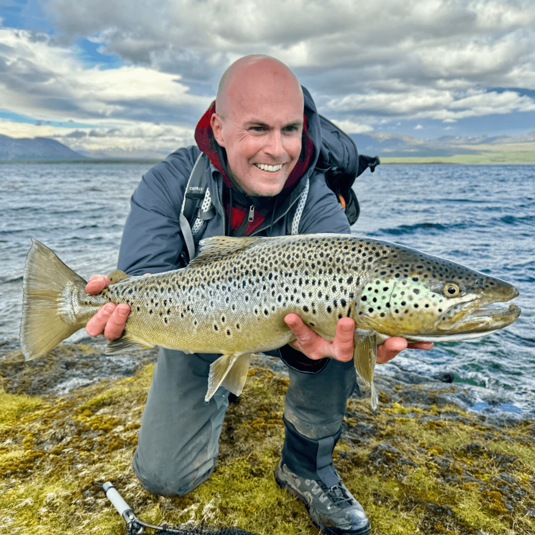 Island, Brown Trout, Arctic char, fjeldørred