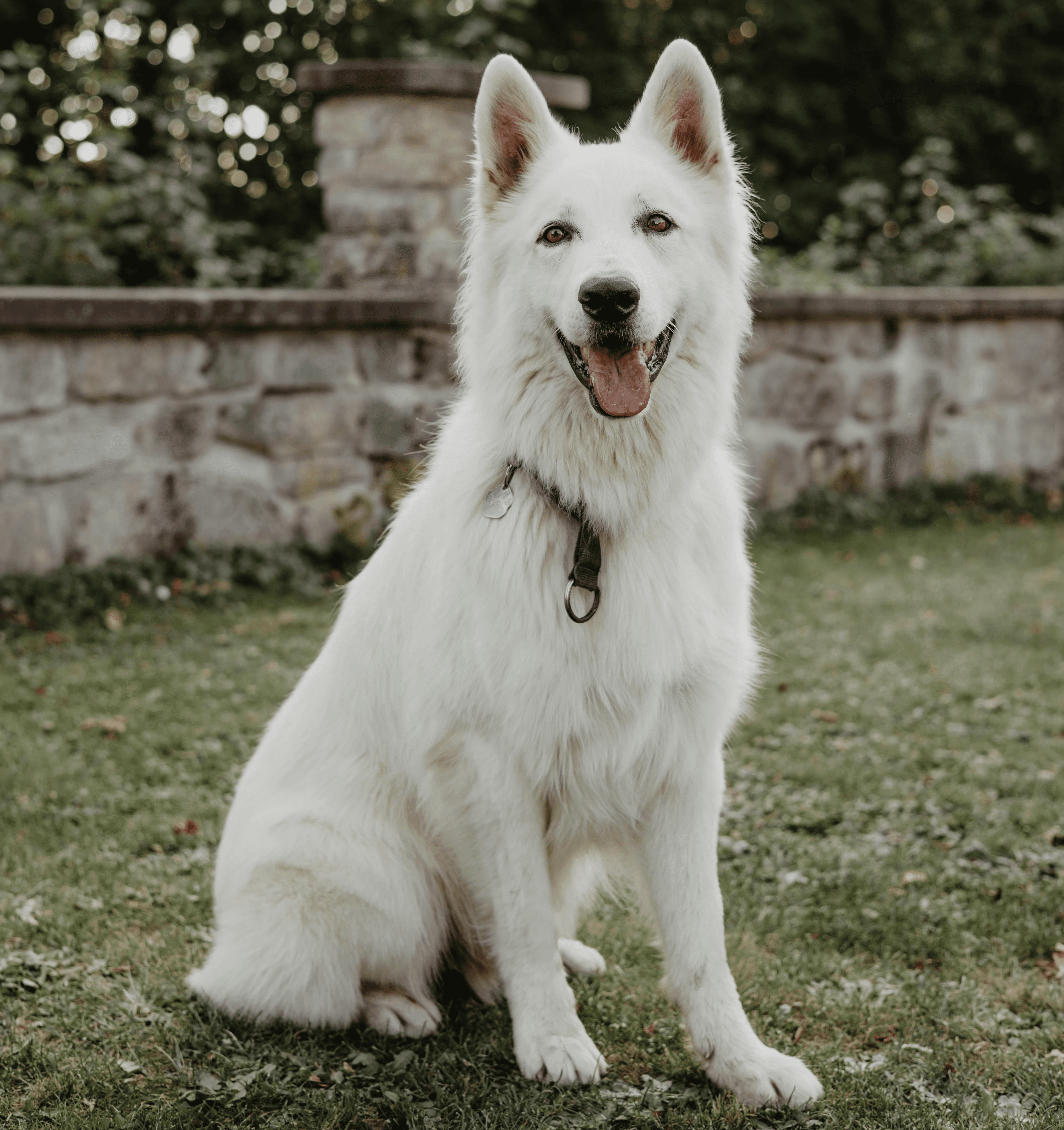 Athletic man in a sleeveless black outfit posing confidently outdoors under a bright blue sky, with a close-up of navy and salmon-colored men’s running shoes in the foreground.