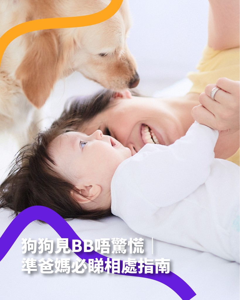 Pet Boo AI blog