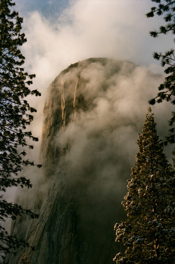 El Capitan in Yosemite covered in fog with trees all around