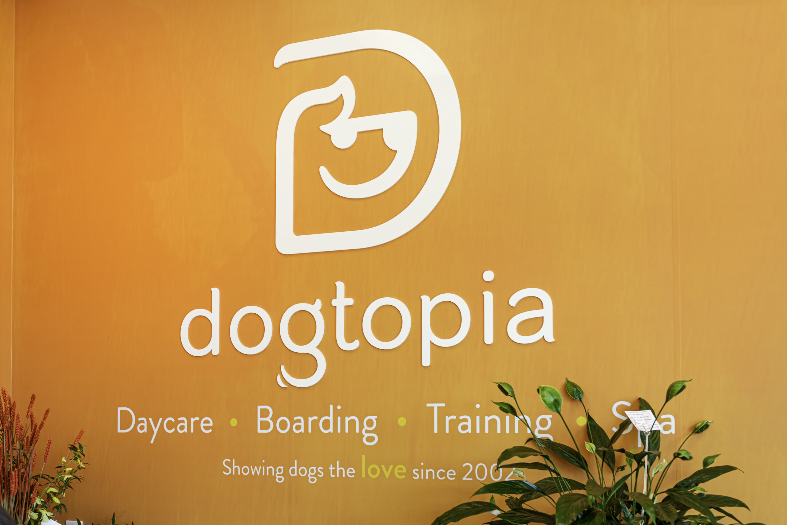 Official Dogtopia loga with light orange color 