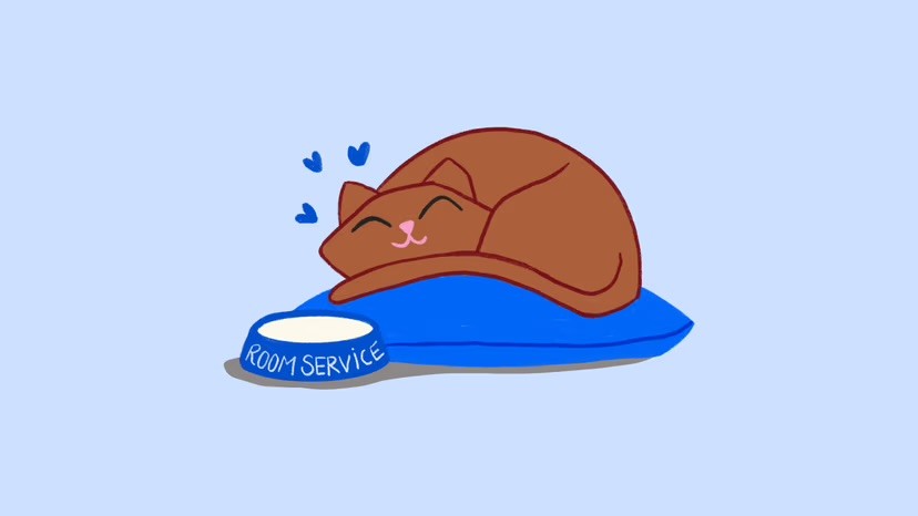 An illustrated brown cat curled up contentedly on a blue cushion next to a bowl labelled "Room Service", with small blue hearts floating above, on a pale blue background.