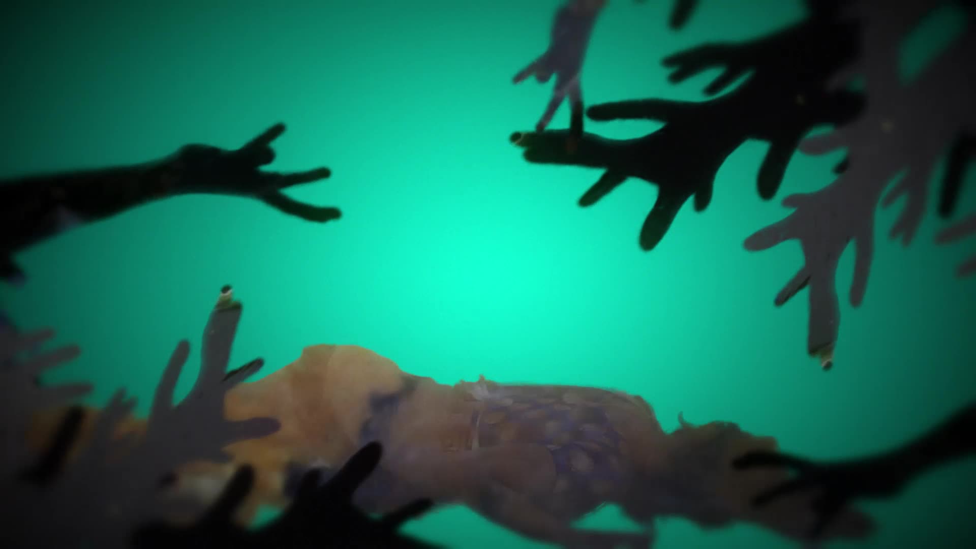 Frame from Tarini – an environmental music film by Isha Foundation using Bharatanatyam and visual metaphors to honour Indian rivers.