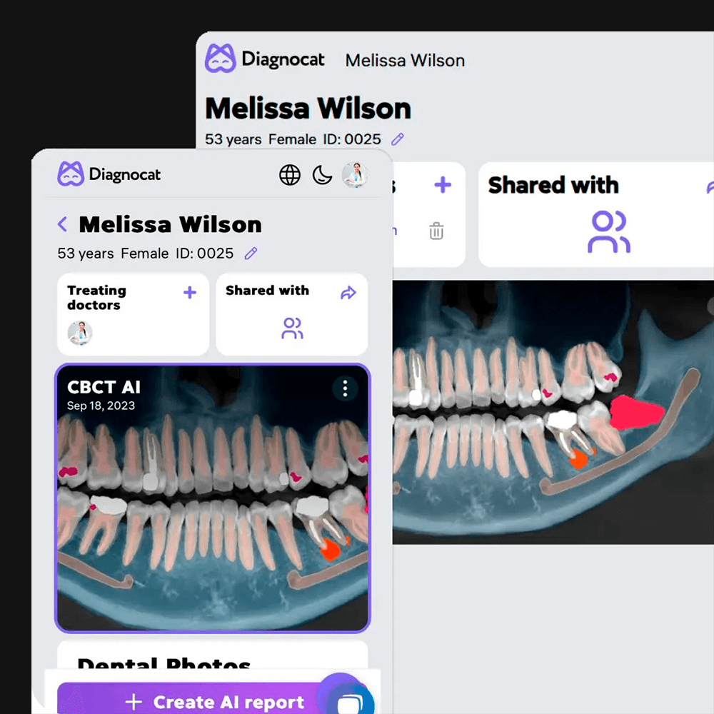 Understand & Organize